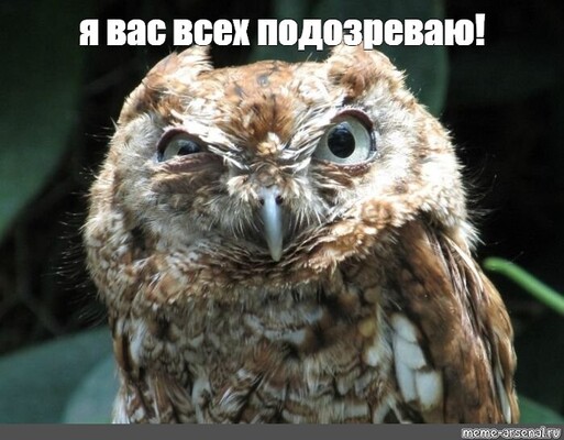 874d4b07ba88805cc64efb65c0979354.jpg