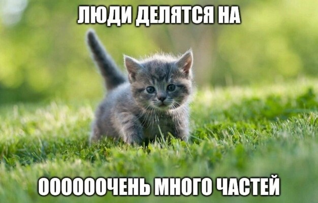 IMG_3572.jpeg