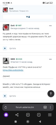 Screenshot_2024-02-17-15-18-57-687_com.yandex.browser.jpg