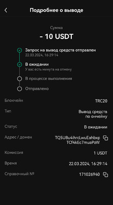 IMG_0247.jpeg