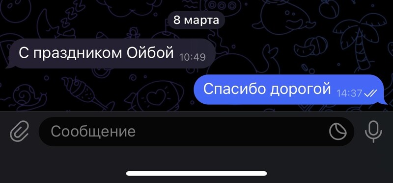 IMG_2022.jpeg