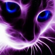 SCAT