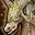 image.png.c8e5001fd99f12caa8d8beaf18b20621.png
