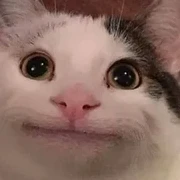 хихи