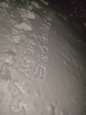IMG_20241231_195221.jpg