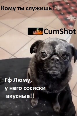 2.thumb.jpg.b63e4224368815d198c9b879b39270dc.jpg