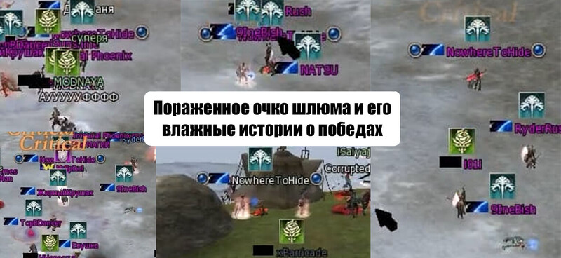 1121212.jpg