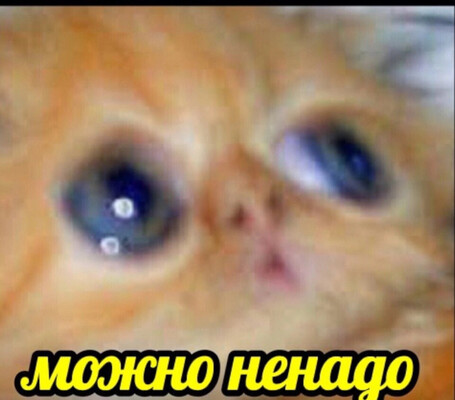 172950931712227189.thumb.jpg.3751e168bdeea32afa81a100ecaab6ca.jpg