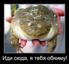 1750690524599119979352390516205.jpg.f6ddad1796702f26ade25b6c082e0fb0.jpg