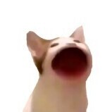 Decapirator