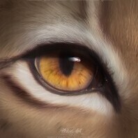 LunaMarso