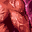 image.png.c7cd44befb1e3a8d39a846b9d982e77d.png
