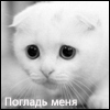 Элга