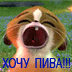 CyM