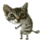 FredPery