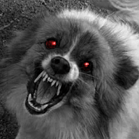AntiPk