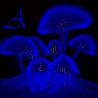 ASZerg