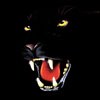 FearOn