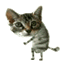 AionCain