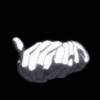 xHellraiserx