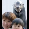 Hydroaquatic
