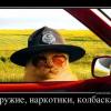 klozwin