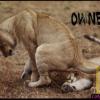 theAtropoS