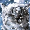 Dessar