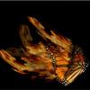 BurningButterfly