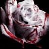 WhiteP0WeP__