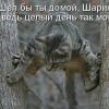 ГИЗЭР