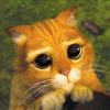 YourEyes