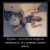 ТипоПаладин