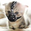 NecessaryEvil