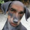 PitkuN