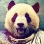 CosmoPanda
