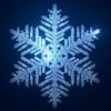 iltis-