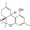AdrenalinT