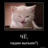leshiy541989