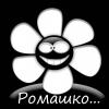 Armaster