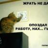 kyp