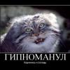 МилоДело