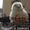 Птич
