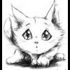 LovelessMeow