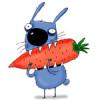 RealSunnyBunny